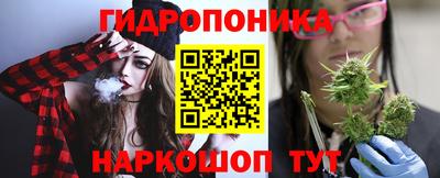 СК Краснодар