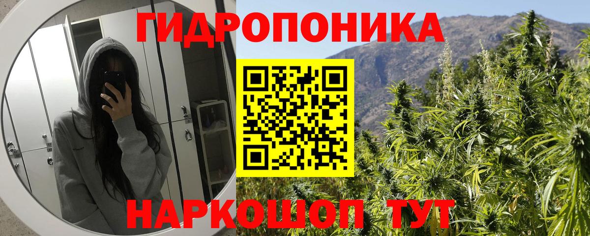 Марихуана AK-47  Конопля индика  Вход с VPN  Бошки марихуана AK-47  Конопля индика  Чусовой 